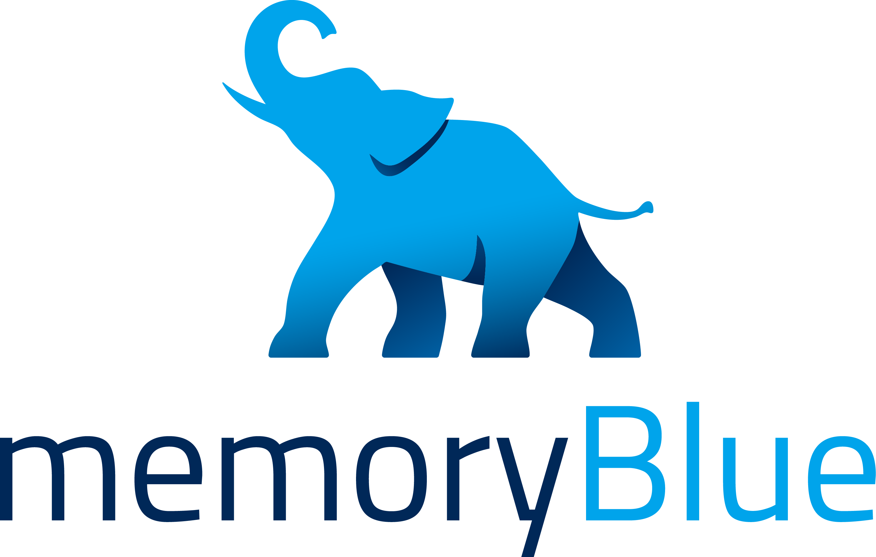 Memory Blue Logo